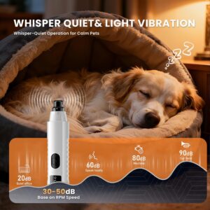 Le Soin des Griffes Pro — Manucure Silencieuse & Apaisante