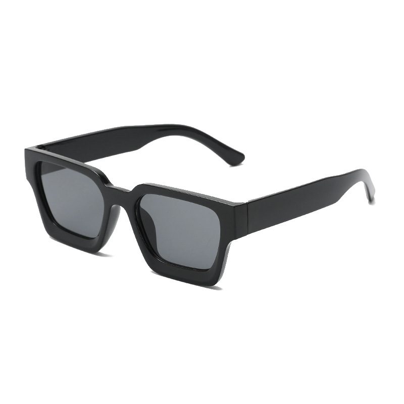 Large-Frame Uv-Protective Lunettes De Soleil For Bright Light