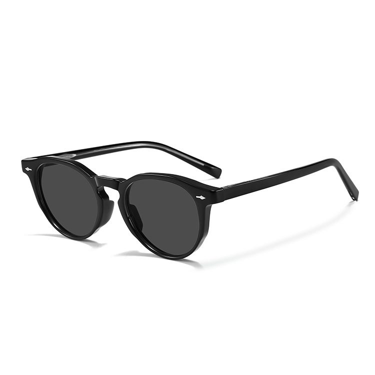 Lunettes de Soleil Rétro Polarisées pour Hommes et Femmes